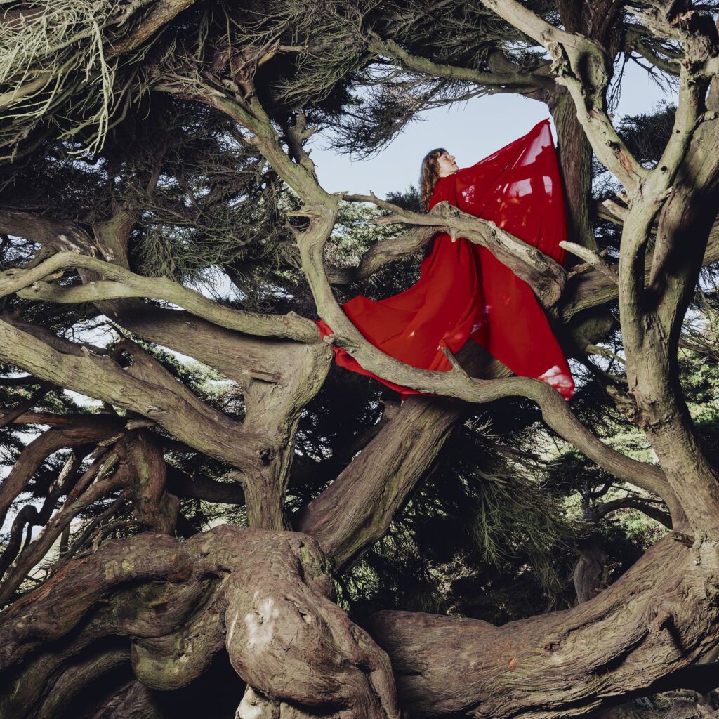 Hannah Frances Nested in Tangles